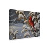 Trademark Fine Art Wilhelm Goebel 'Winter Red Cardinal' Canvas Art, 24x32 ALI33713-C2432GG